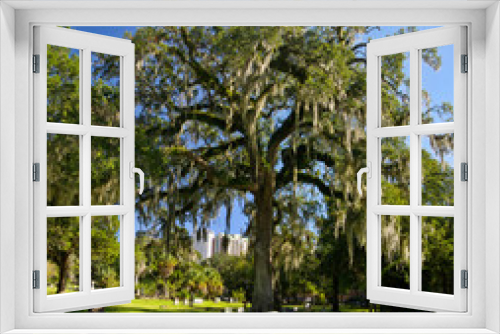 Fototapeta Naklejka Na Ścianę Okno 3D - The Tallahassee Old City Cemetery is the oldest burial ground in the city, established in 1829by the Florida Territorial Legislature.