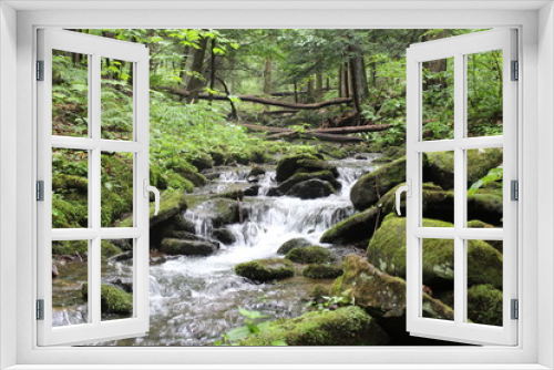 Fototapeta Naklejka Na Ścianę Okno 3D - Forest Stream