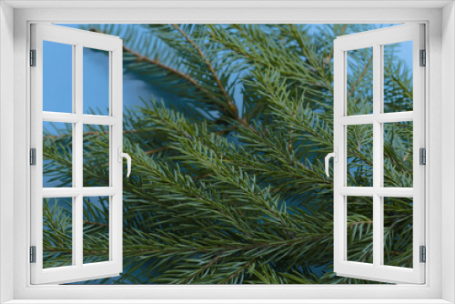 Fototapeta Naklejka Na Ścianę Okno 3D - On a blue background are spruce twigs. Christmas concept. Cropped shot, isolated, macro, background, horizontal, blurred. Place for text.