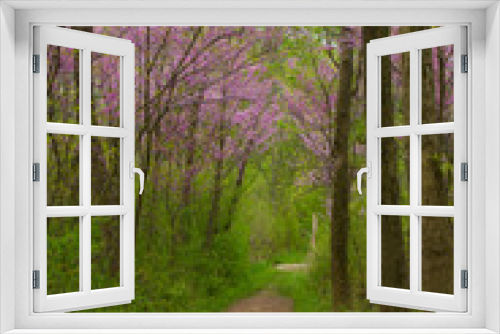 Fototapeta Naklejka Na Ścianę Okno 3D - Spring Time Purple Flower Trees