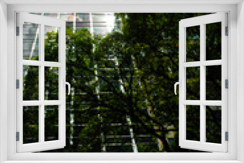 Fototapeta Naklejka Na Ścianę Okno 3D - Tree in front of mirrored building. Background with blue sky with clouds.