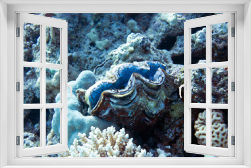 Fototapeta Naklejka Na Ścianę Okno 3D - Rotes Meer