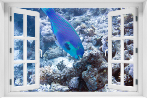 Fototapeta Naklejka Na Ścianę Okno 3D - Rotes Meer