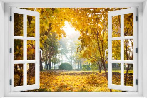 Fototapeta Naklejka Na Ścianę Okno 3D - Autumnal background of park