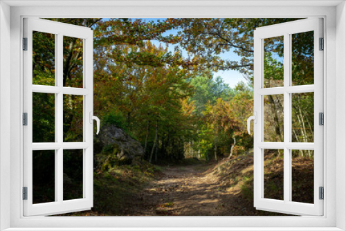 Fototapeta Naklejka Na Ścianę Okno 3D - sous bois avec des arbres aux couleurs passées de l'automne