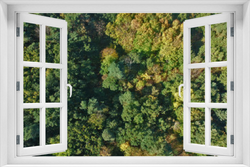 Fototapeta Naklejka Na Ścianę Okno 3D - Aerial view on colorful forest during autumn season.