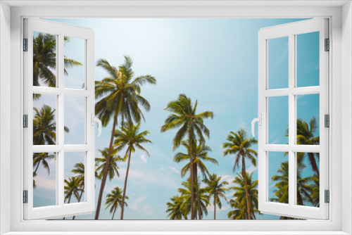 Fototapeta Naklejka Na Ścianę Okno 3D - Coconut palm trees in sunny day - Tropical aloha summer beach holiday vacation concept, Color fun tone