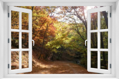 Fototapeta Naklejka Na Ścianę Okno 3D - Autumn Nature in Colors