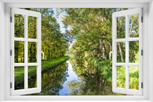 Fototapeta Naklejka Na Ścianę Okno 3D - Fresh green trees reflecting in a little river in the Netherlands