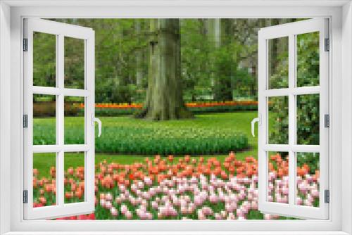 Fototapeta Naklejka Na Ścianę Okno 3D - Parc des tulipes