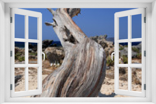 Fototapeta Naklejka Na Ścianę Okno 3D - creta tronco sulla spiaggia