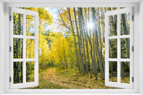 Fototapeta Naklejka Na Ścianę Okno 3D - Fall colours in Crested Butte Colorado
