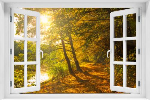 Fototapeta Naklejka Na Ścianę Okno 3D - Autumn in the forest with leaves path illuminated with warm sun beams