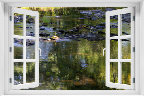 Fototapeta Naklejka Na Ścianę Okno 3D - Sandy Stream in Unity Maine in the shadows of trees and colorful reflections on the surface of the water.