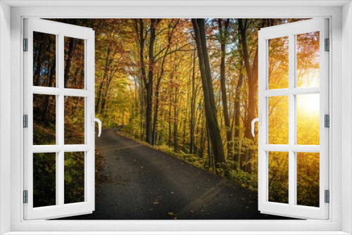 Fototapeta Naklejka Na Ścianę Okno 3D - Fall Foliage Forest Route