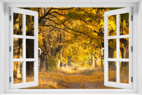 Fototapeta Naklejka Na Ścianę Okno 3D - Fall landscape