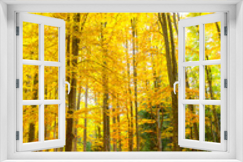 Fototapeta Naklejka Na Ścianę Okno 3D - Autumn rustic forest landscape