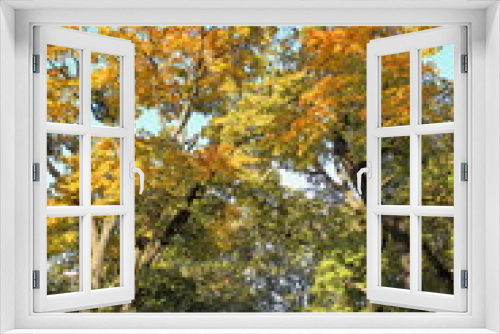 Fototapeta Naklejka Na Ścianę Okno 3D - Beautiful autumn landscapes