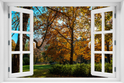 Fototapeta Naklejka Na Ścianę Okno 3D - Beautiful autumn colors in the park