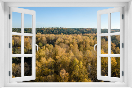 Fototapeta Naklejka Na Ścianę Okno 3D - drone image. aerial view of rural area with fields and forests in autum