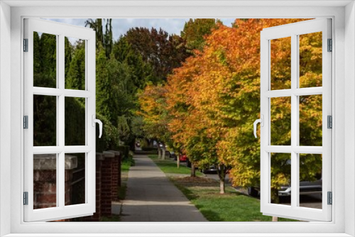 Fototapeta Naklejka Na Ścianę Okno 3D - Seattle in autumn 