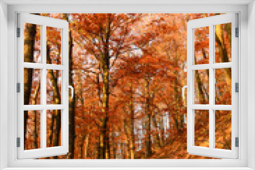 Fototapeta Naklejka Na Ścianę Okno 3D - Indian Summer, Schönheit des Herbstes am See, Spätsommer, Indian Summer, wundervolle Farben im Wald, weiches, stimmungsvolles Licht :)