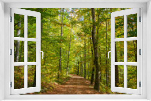 Fototapeta Naklejka Na Ścianę Okno 3D - Idylle im farbigem Herbstwald