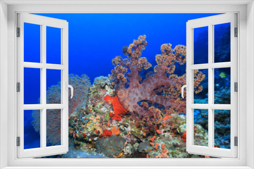 Fototapeta Naklejka Na Ścianę Okno 3D - Great Barrier Reef