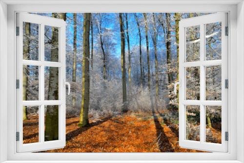 Fototapeta Naklejka Na Ścianę Okno 3D - Wald bei Frost, Winter