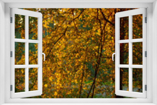 Fototapeta Naklejka Na Ścianę Okno 3D - Herbstlaub
