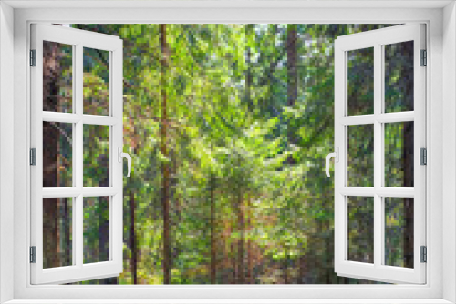 Fototapeta Naklejka Na Ścianę Okno 3D - Summer forest in sunny weather