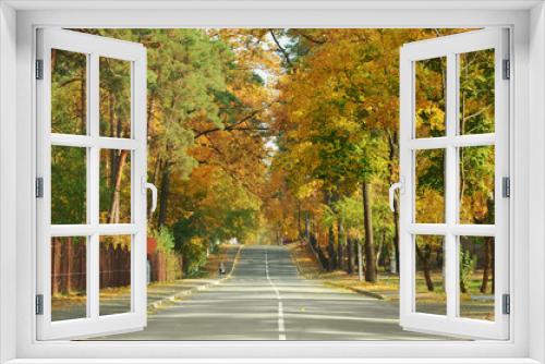 Fototapeta Naklejka Na Ścianę Okno 3D - Autumn landscape with road and beautiful colored trees.