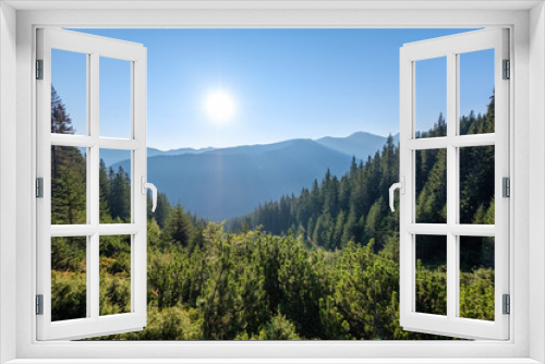 Fototapeta Naklejka Na Ścianę Okno 3D - misty sunrise in Slovakian Tatra mountains with light lanes in fog over dark forest