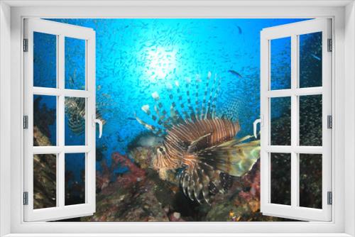 Fototapeta Naklejka Na Ścianę Okno 3D - Lionfish fish on coral reef   