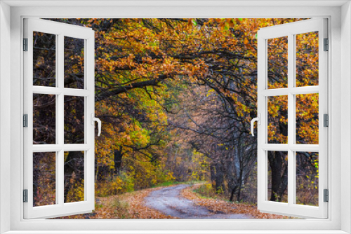 Fototapeta Naklejka Na Ścianę Okno 3D - road through the red autumn oak grove
