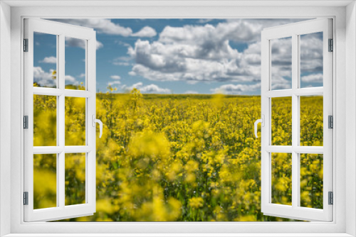Fototapeta Naklejka Na Ścianę Okno 3D - French spring