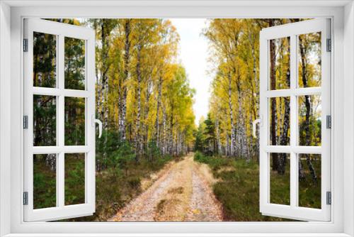 Fototapeta Naklejka Na Ścianę Okno 3D - Jesienny krajobraz 15