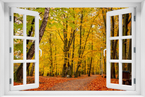 Fototapeta Naklejka Na Ścianę Okno 3D - Amazing park of luminous autumnal colors.