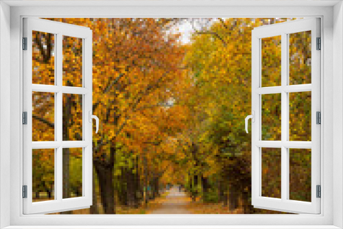 Fototapeta Naklejka Na Ścianę Okno 3D - Cloudy autumn alley