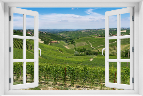 Fototapeta Naklejka Na Ścianę Okno 3D - Vineyards near Barbaresco, Cuneo, in Langhe