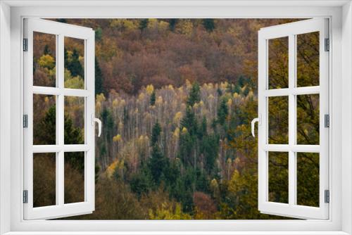 Fototapeta Naklejka Na Ścianę Okno 3D - Autumn forest textures - in the Slovakian mountains
