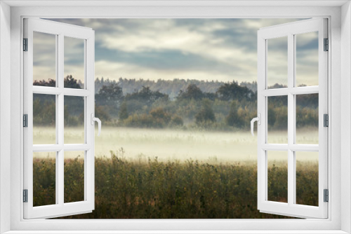 Fototapeta Naklejka Na Ścianę Okno 3D - meadow on a misty autumn morning.