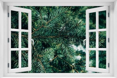 Fototapeta Naklejka Na Ścianę Okno 3D - Fir tree christmas background.