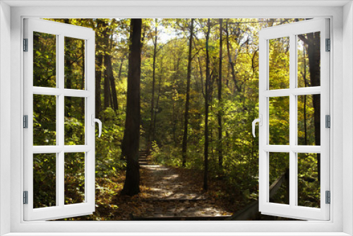 Fototapeta Naklejka Na Ścianę Okno 3D - Wood hiking trail through woods leading to stairs surrounded by tall green trees on both sides on a sunny day in Minnesota