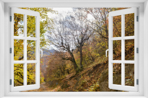 Fototapeta Naklejka Na Ścianę Okno 3D - Colorful stunning autumn forest landscape in October