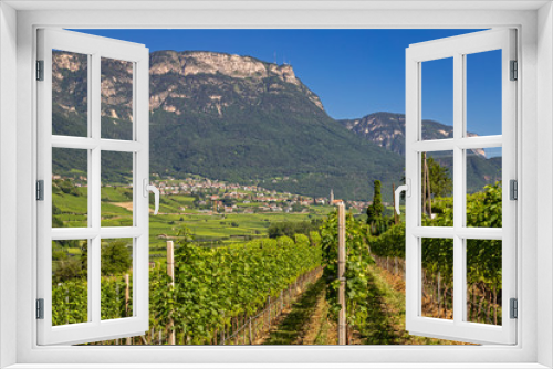 Fototapeta Naklejka Na Ścianę Okno 3D - Weinanbau am Kalterer See, Südtirol