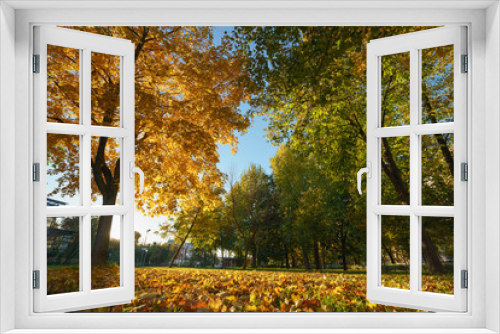 Fototapeta Naklejka Na Ścianę Okno 3D - Golden autumn in the city park 