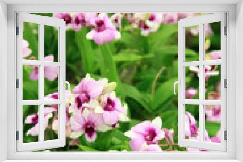 Fototapeta Naklejka Na Ścianę Okno 3D - Flower gardens