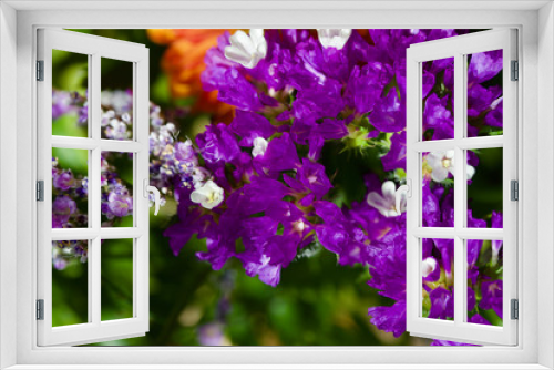 Fototapeta Naklejka Na Ścianę Okno 3D - Macro abstract view of beautiful purple and white statice flowers