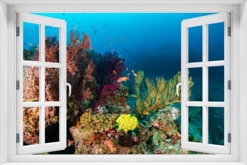 Fototapeta Naklejka Na Ścianę Okno 3D - Tropical fish and colorful corals on a healthy tropical coral reef